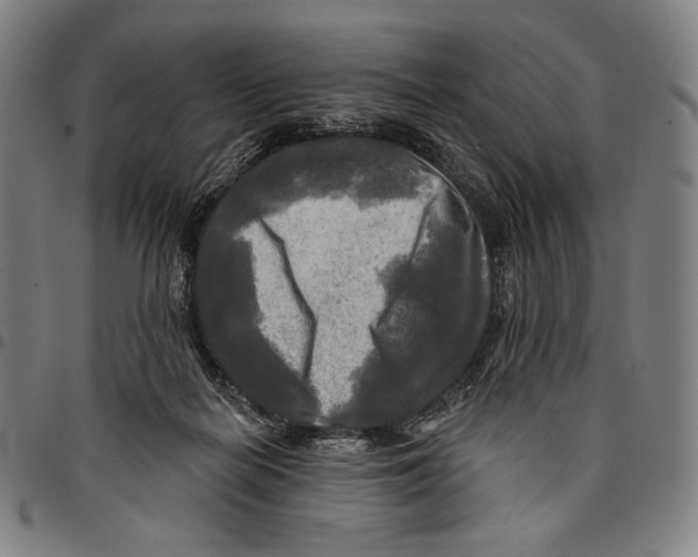 X0000095110266200801041207