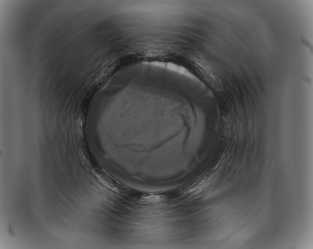 X0000095110269200801041207