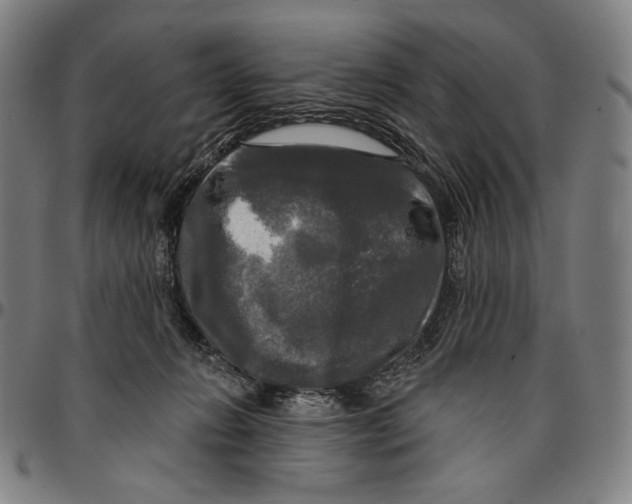 X0000095110270200801041207