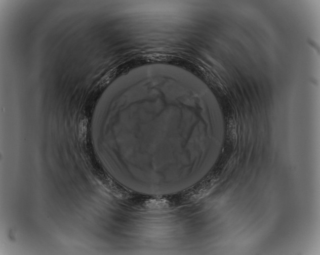 X0000095110271200801041207