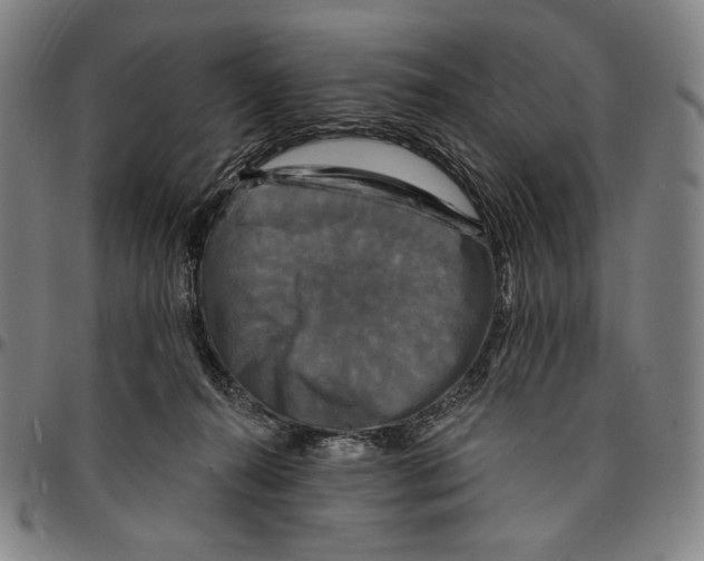 X0000095110272200801041207