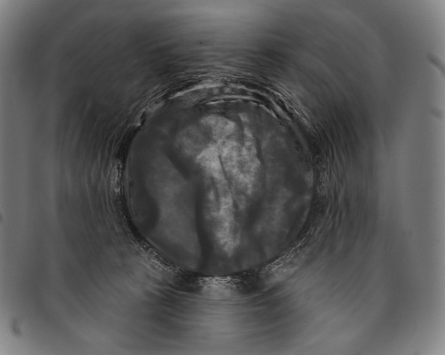 X0000095110273200801041207