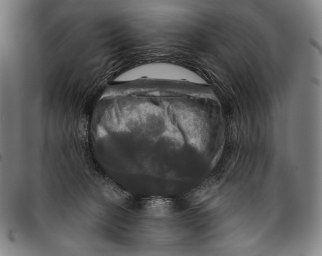 X0000095110274200801041207