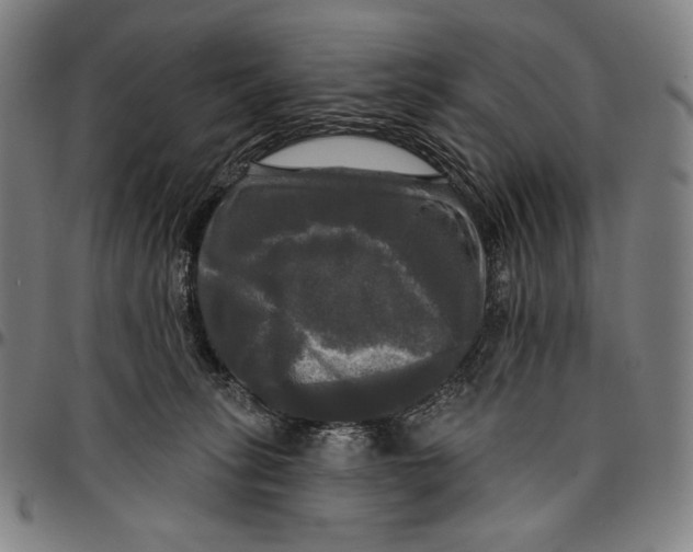 X0000095110275200801041207