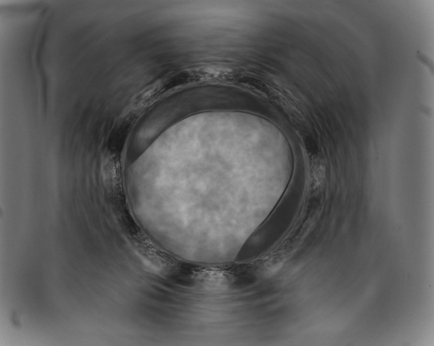 X0000095110276200801041207