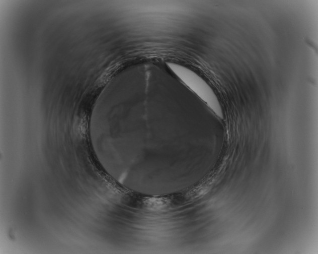 X0000095110277200801041207