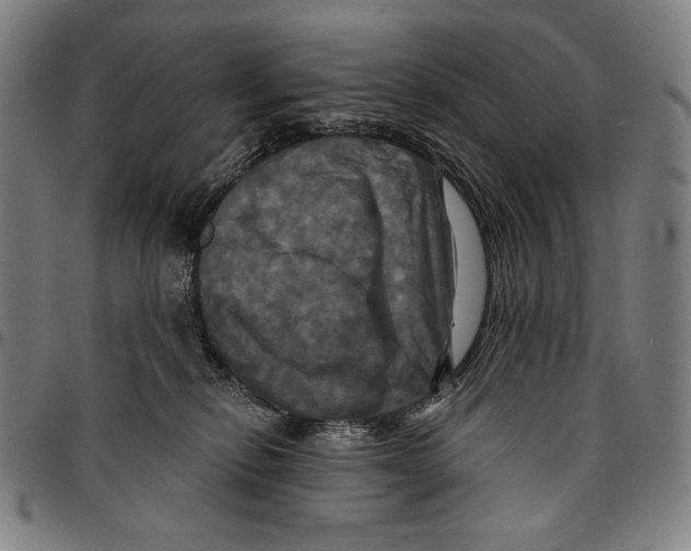 X0000095110278200801041207
