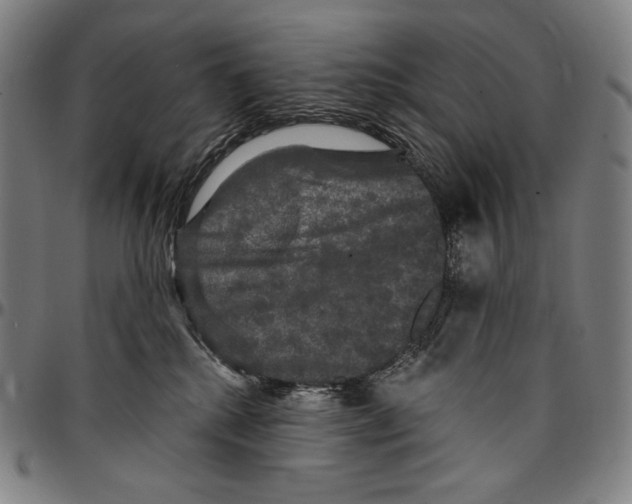 X0000095110280200801041207