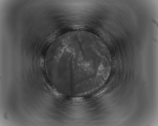 X0000095110281200801041207
