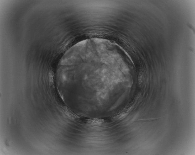 X0000095110282200801041207