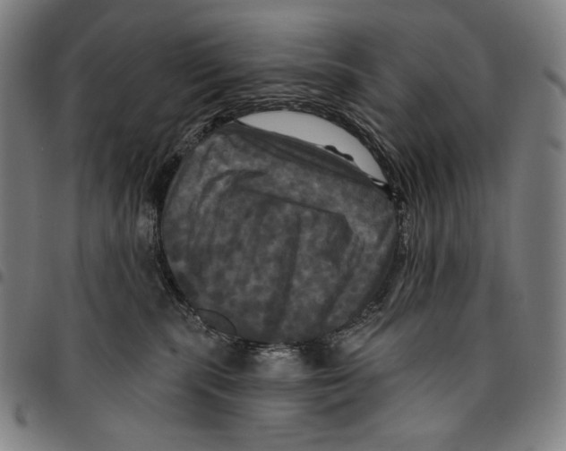 X0000095110283200801041207