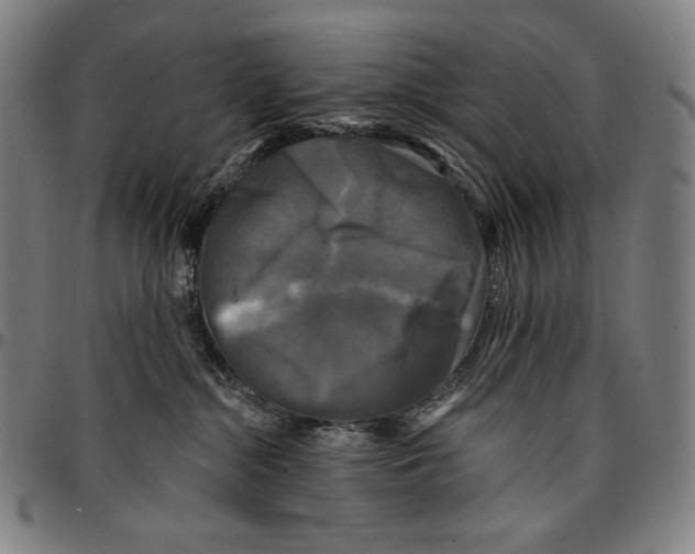 X0000095110284200801041207
