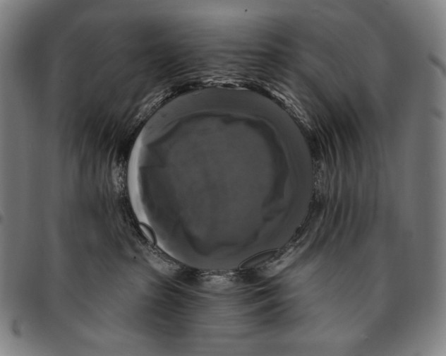 X0000095110285200801041207