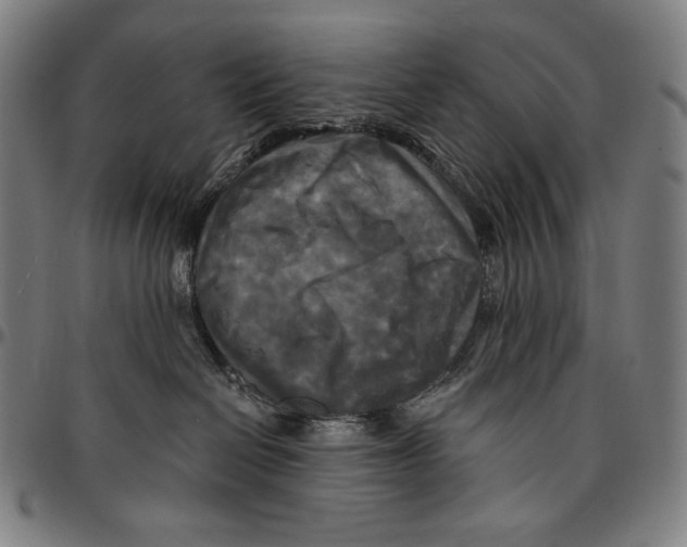 X0000095110286200801041207