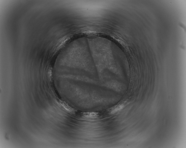 X0000095110288200801041207