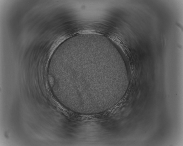 X0000095110289200801041207