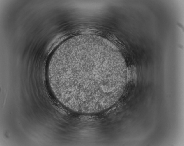 X0000095110291200801041206