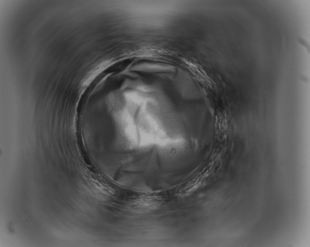 X0000095110292200801041206
