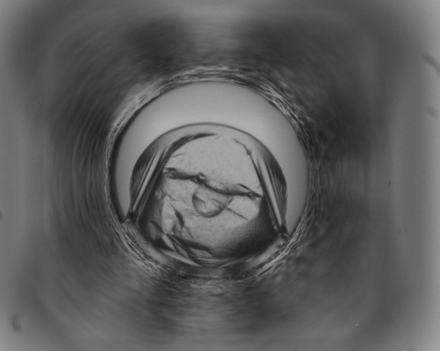 X0000095110293200801041206