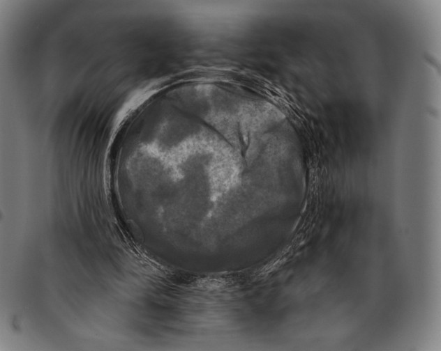 X0000095110294200801041206