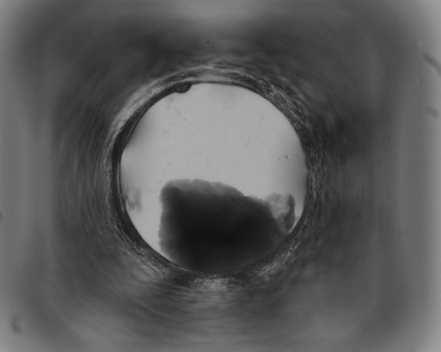 X0000095110295200801041206
