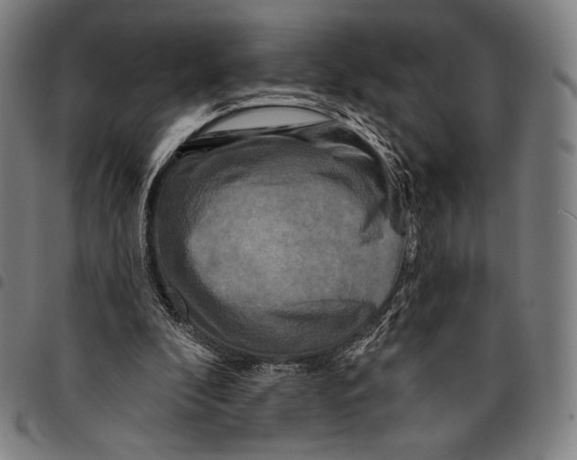 X0000095110296200801041206