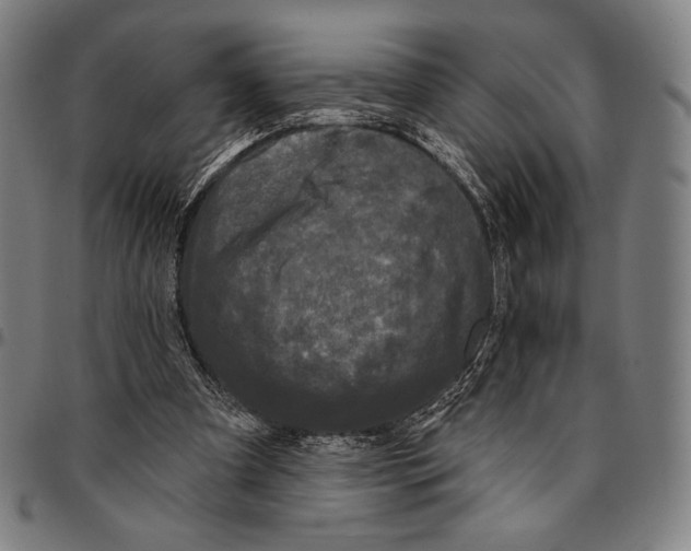 X0000095110297200801041206