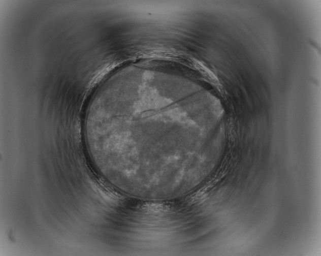 X0000095110298200801041206