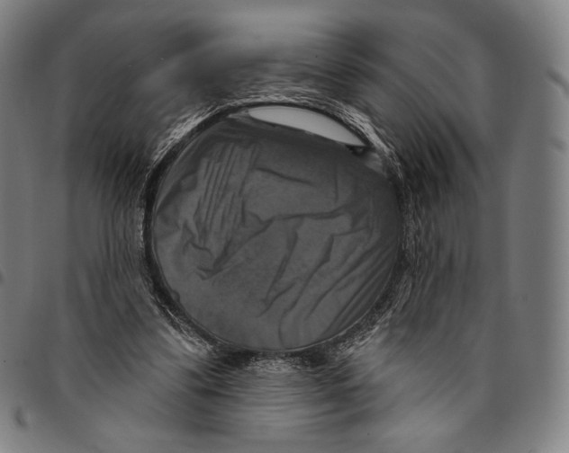 X0000095110299200801041206