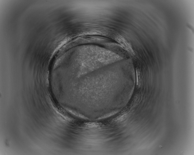 X0000095110300200801041206
