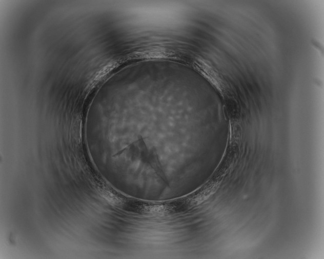 X0000095110301200801041206