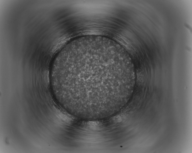 X0000095110302200801041206