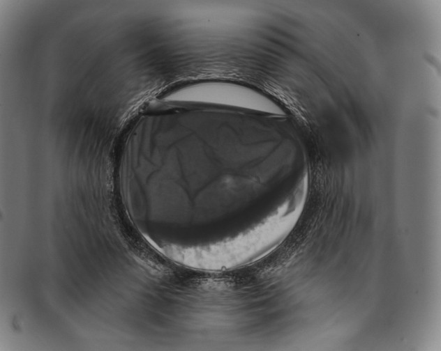 X0000095110303200801041206