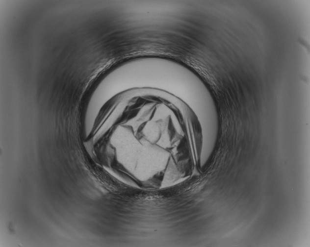 X0000095110304200801041206