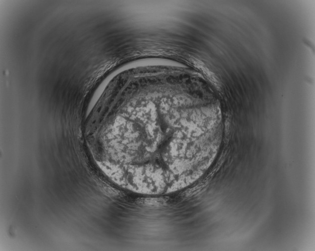 X0000095110305200801041206