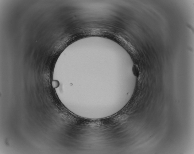X0000095110306200801041206