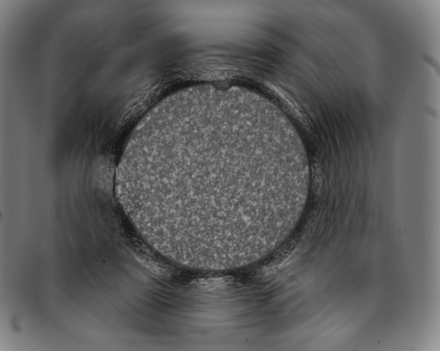 X0000095110307200801041206