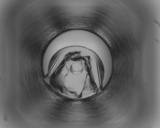 X0000095110309200801041206
