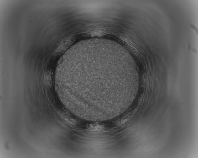 X0000095110311200801041206