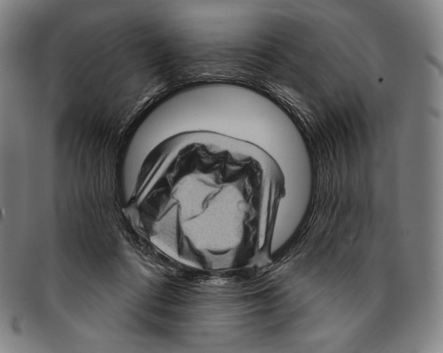 X0000095110312200801041206