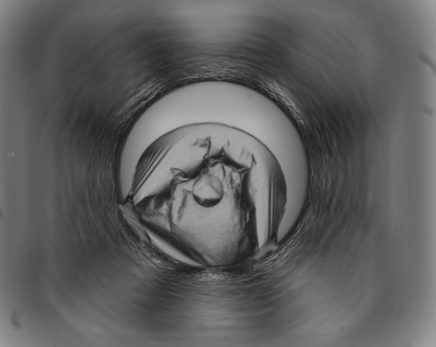 X0000095110313200801041206