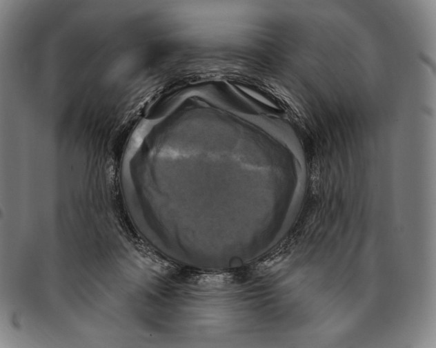 X0000095110314200801041206