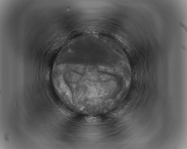 X0000095110315200801041206