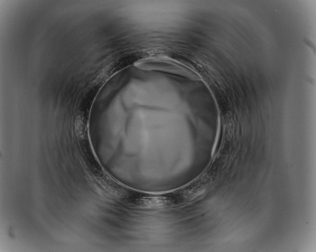 X0000095110316200801041206