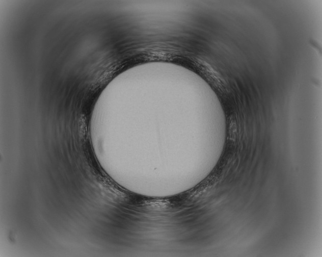 X0000095110318200801041206