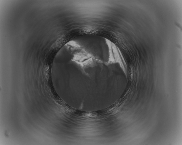X0000095110319200801041206
