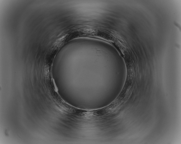X0000095110320200801041206