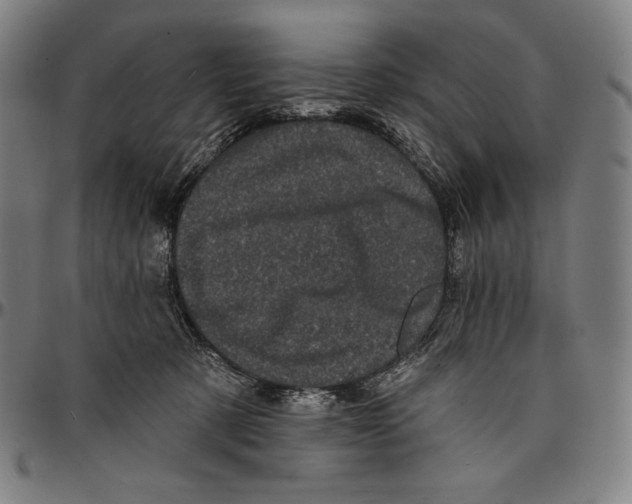 X0000095110321200801041206