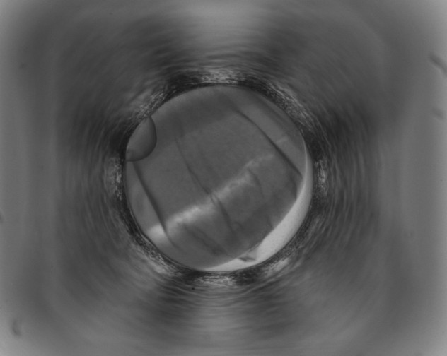 X0000095110322200801041206