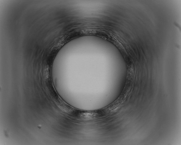 X0000095110323200801041206